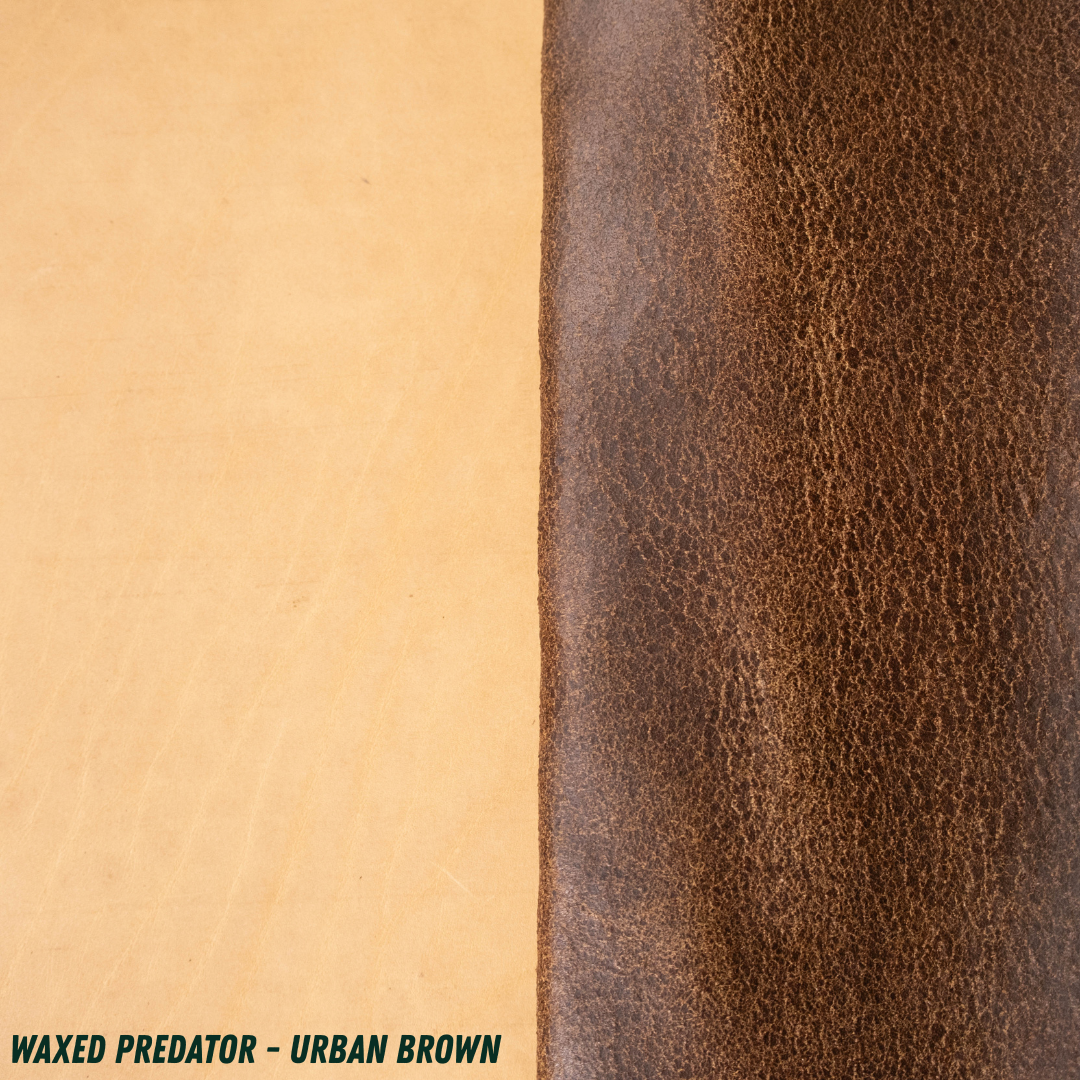 A close-up split view showing rolled out leather: a smooth warm tan on the left and a textured dark brown on the right, with the text 'WAXED PREDATOR - URBAN BROWN' at the bottom left.