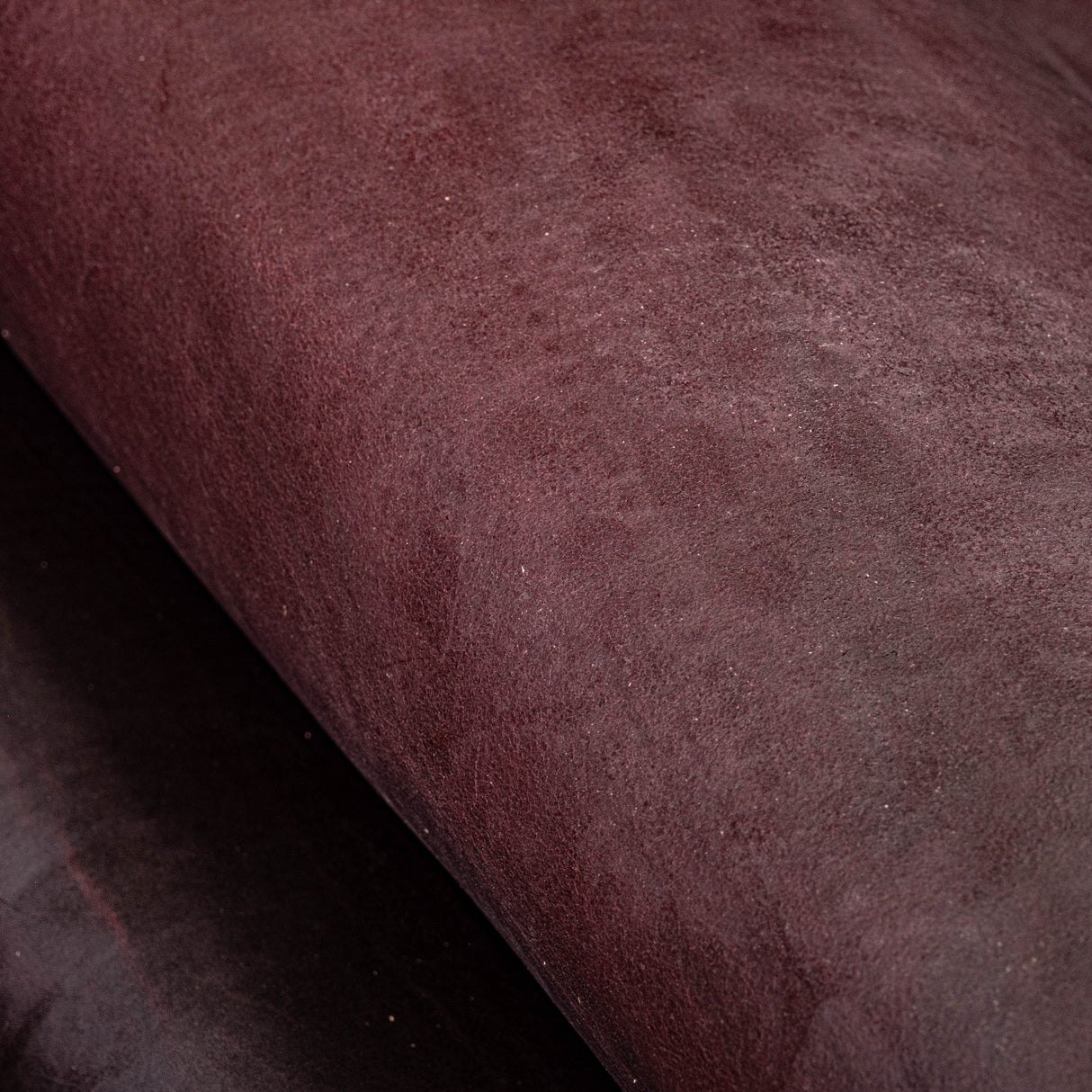 November Sample Sale