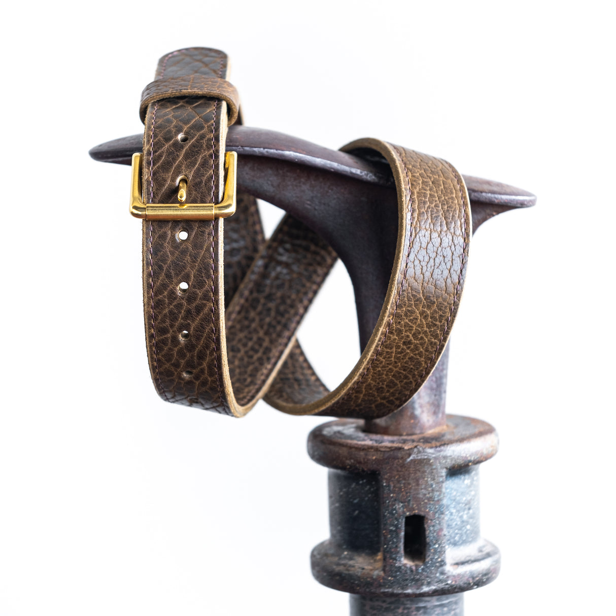 American Bison Heritage Belt