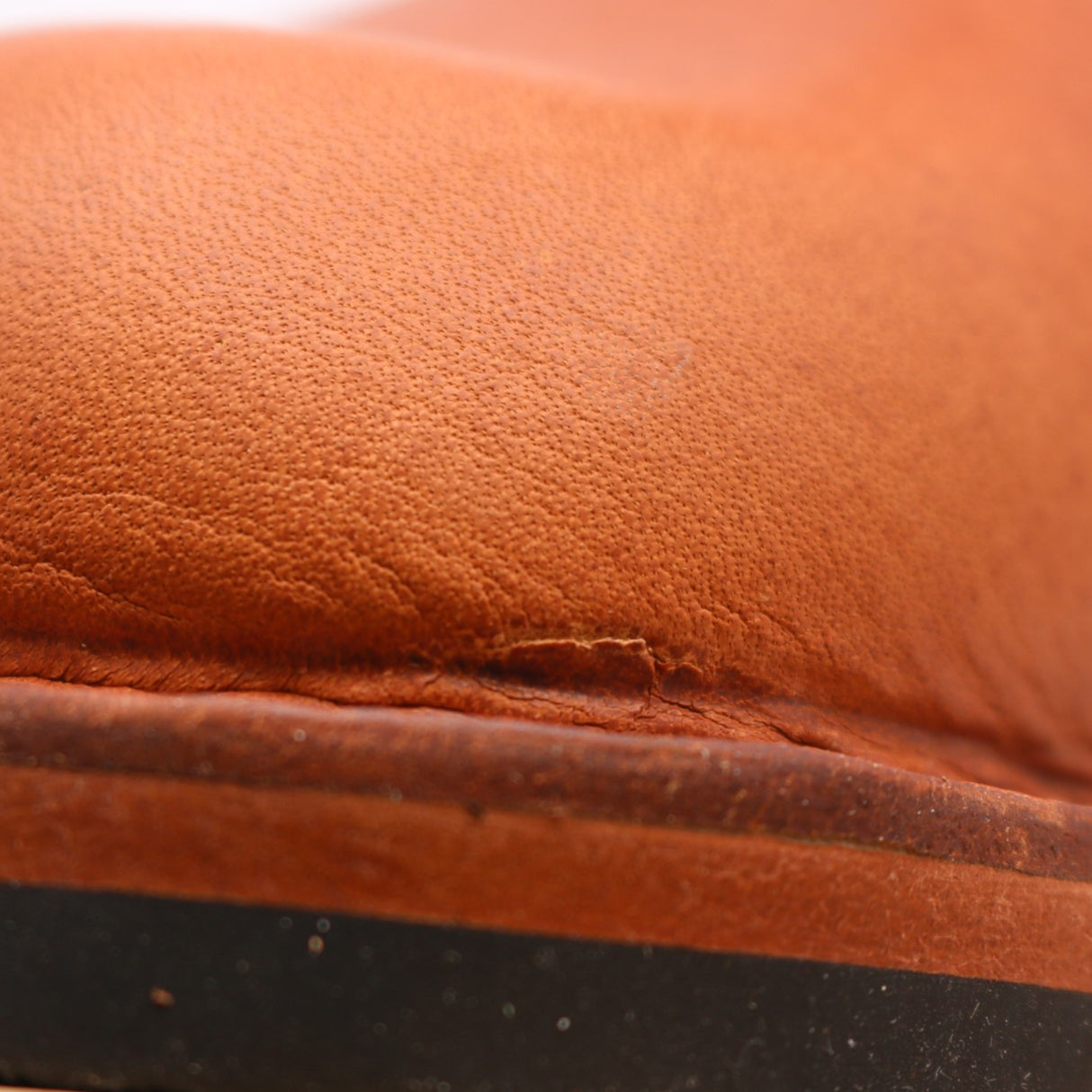 Chelsea 10 FF - Seconds!