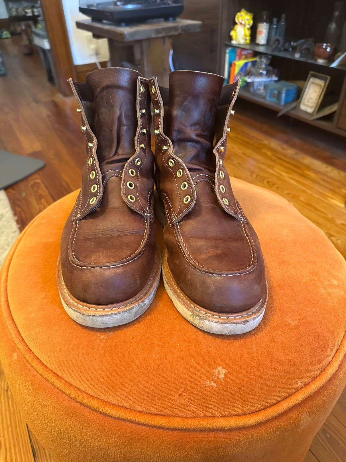 MARKETPLACE - WHITES Perry Select \ 10EE