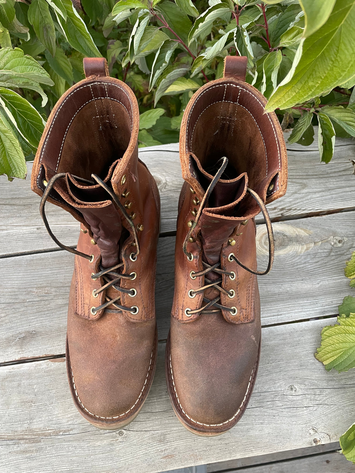 MARKETPLACE - NICKS Ranger \ 10D