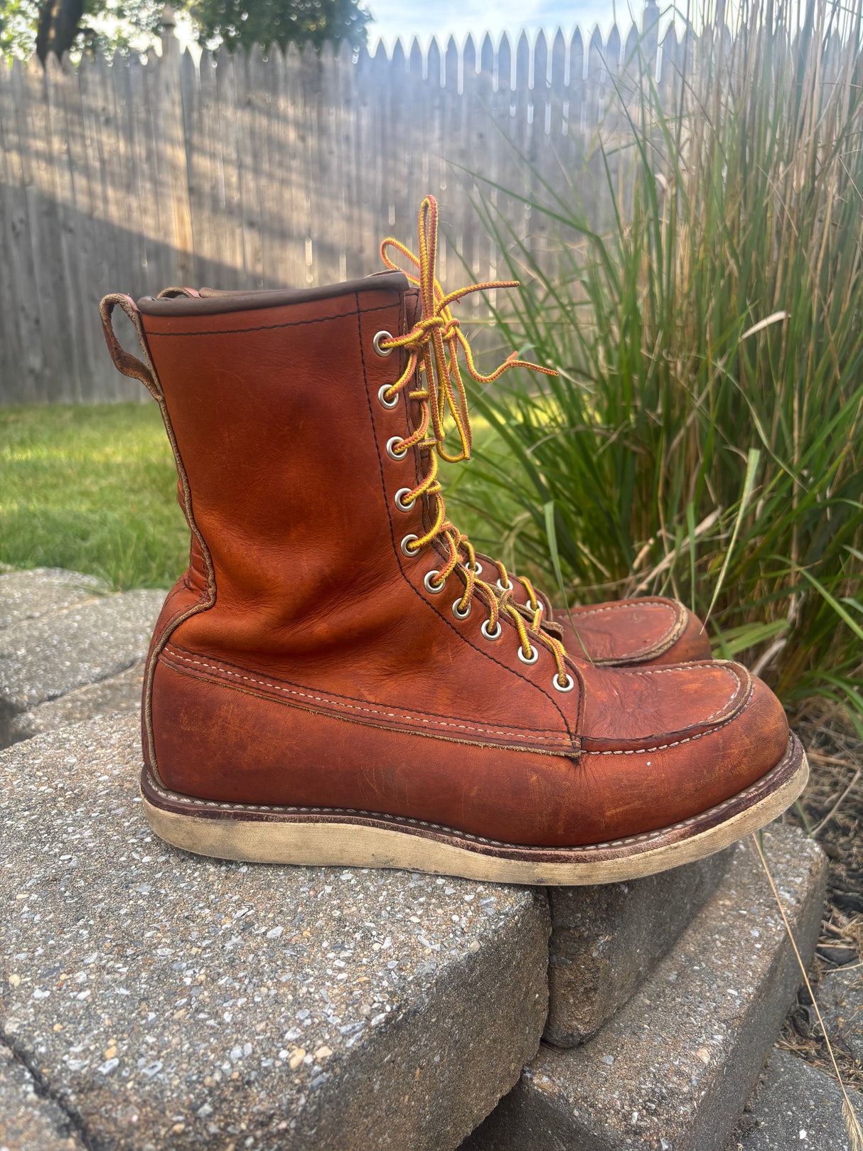 MARKETPLACE - RED WING \ 11D