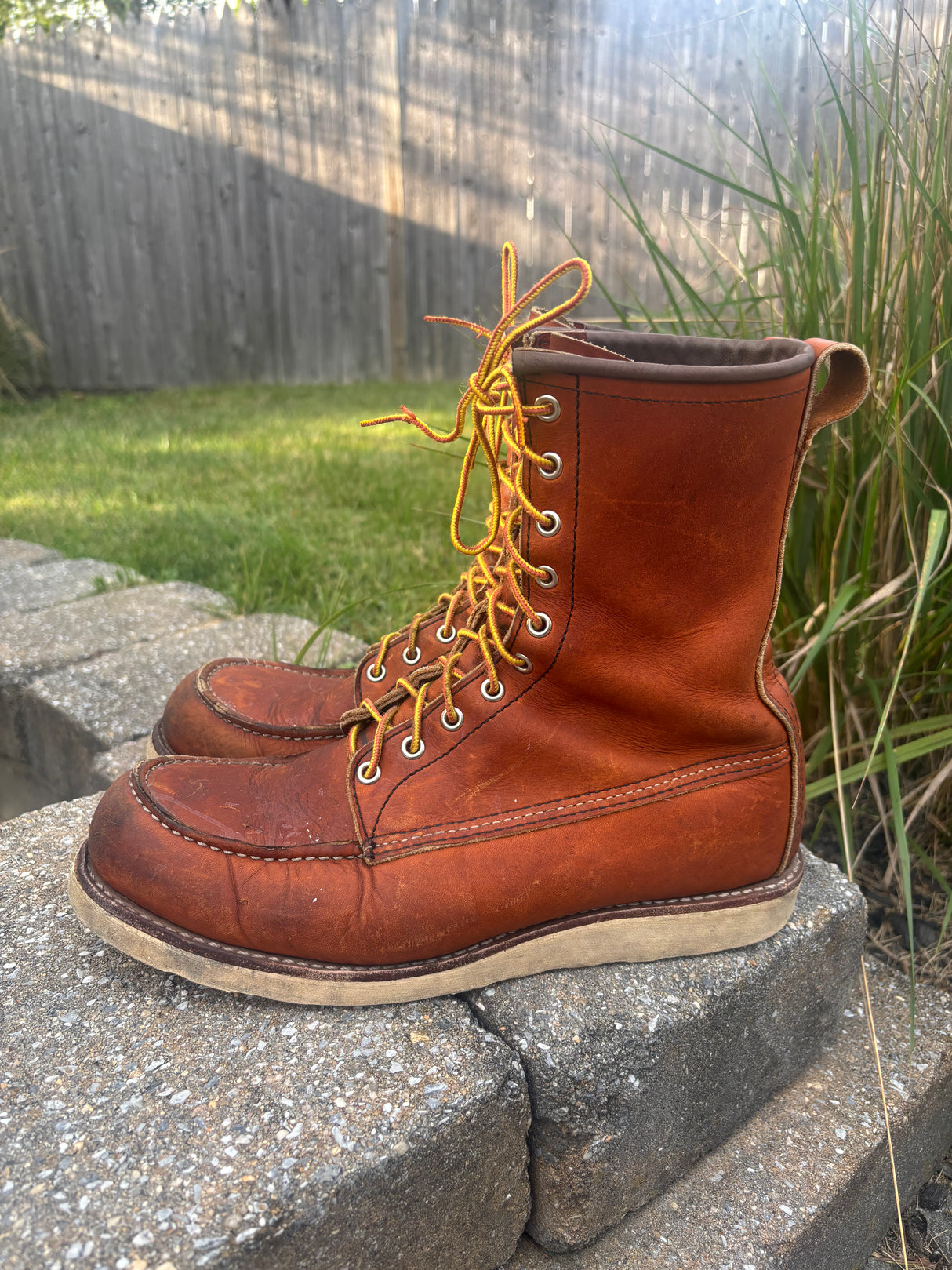 MARKETPLACE - RED WING \ 11D