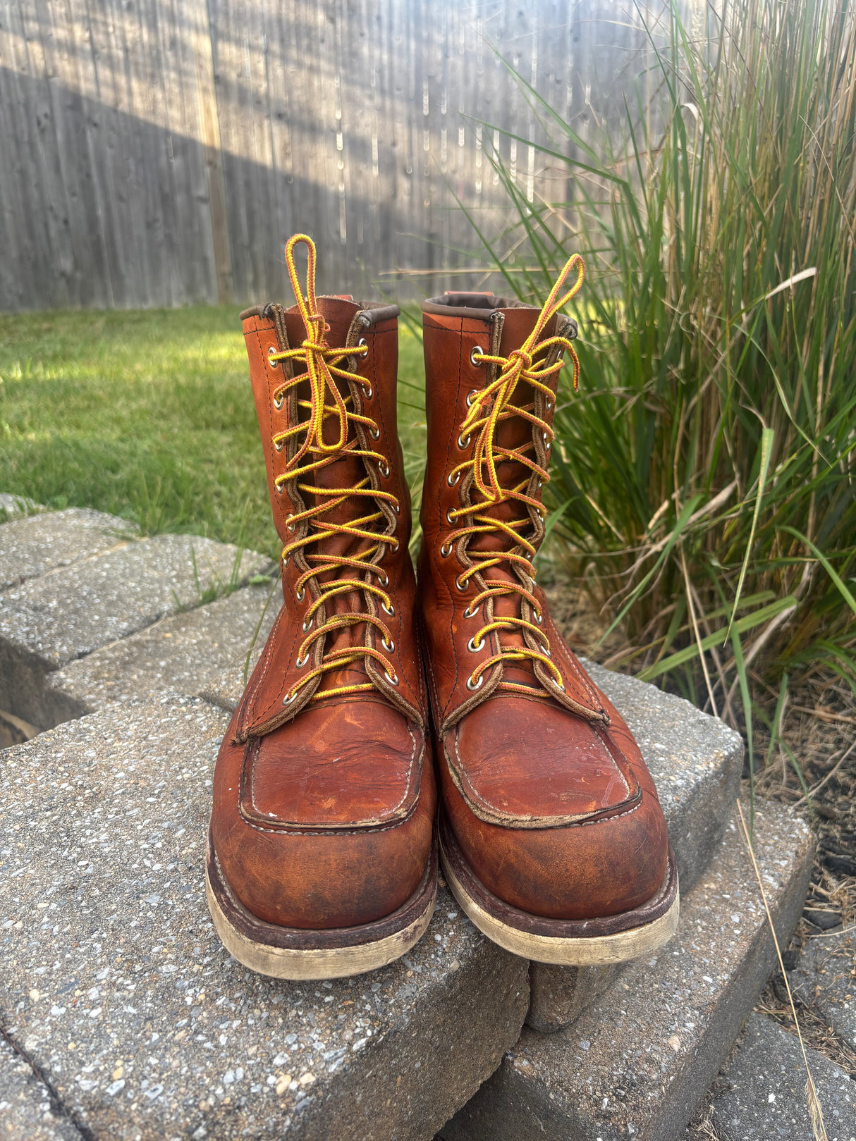 MARKETPLACE - RED WING \ 11D