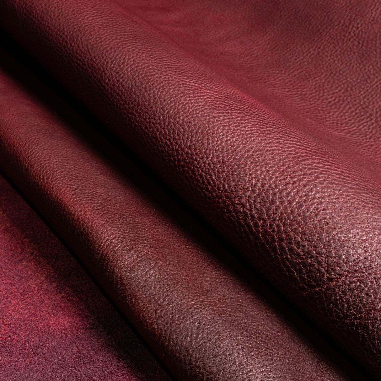 November Sample Sale