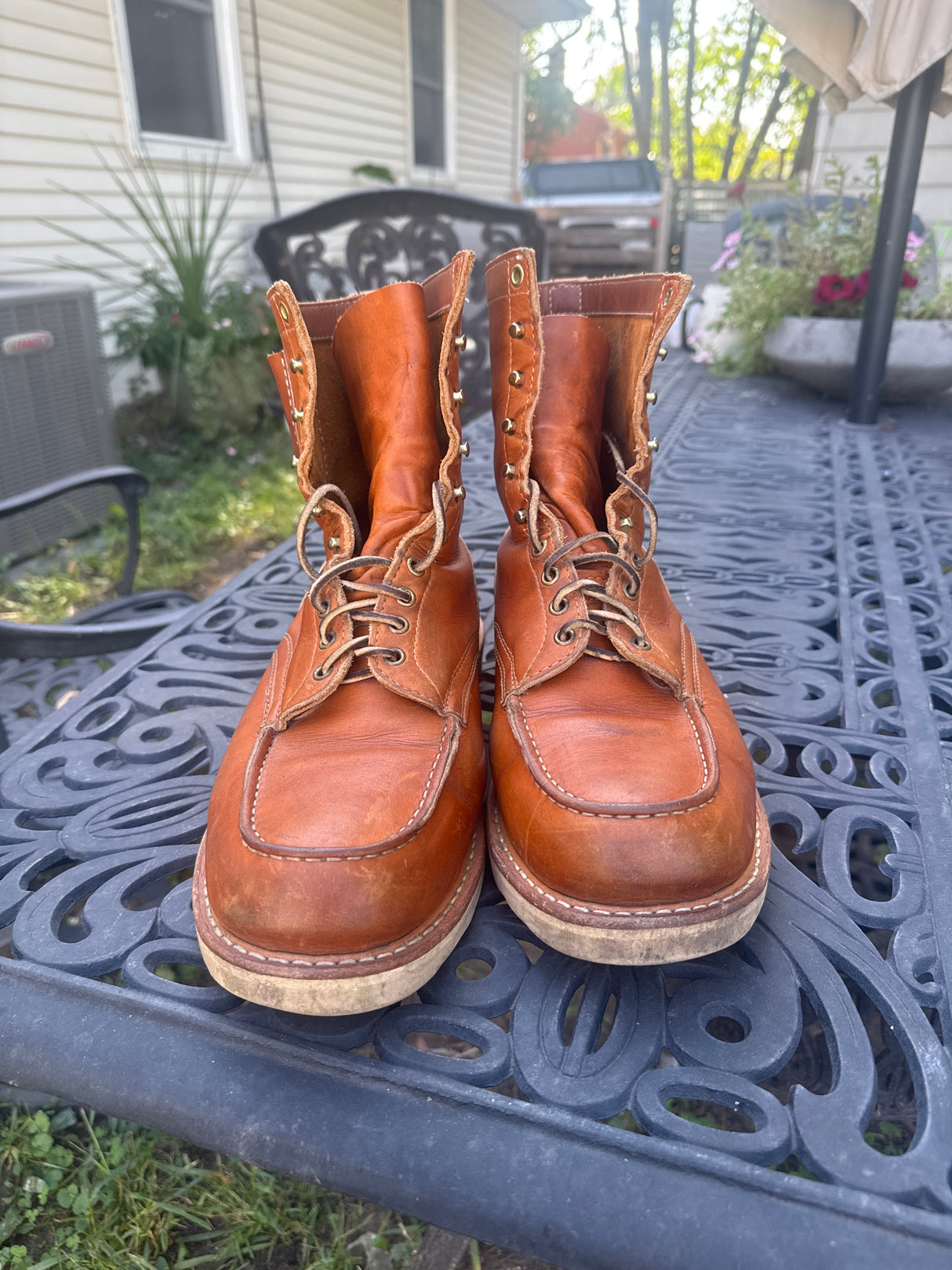 MARKETPLACE - WHITES Perry Select \ 12EE