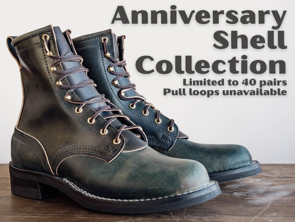 Anniversary Shell Collection 2026 - Only 40 Pairs Available!