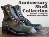 Anniversary Shell Collection 2026 - Only 40 Pairs Available!