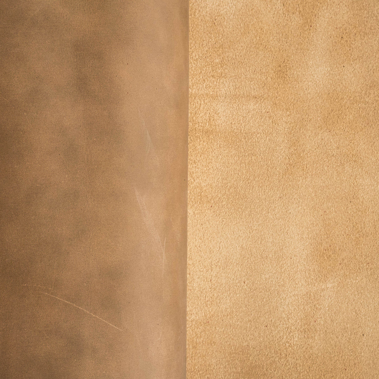 February Sample Sale