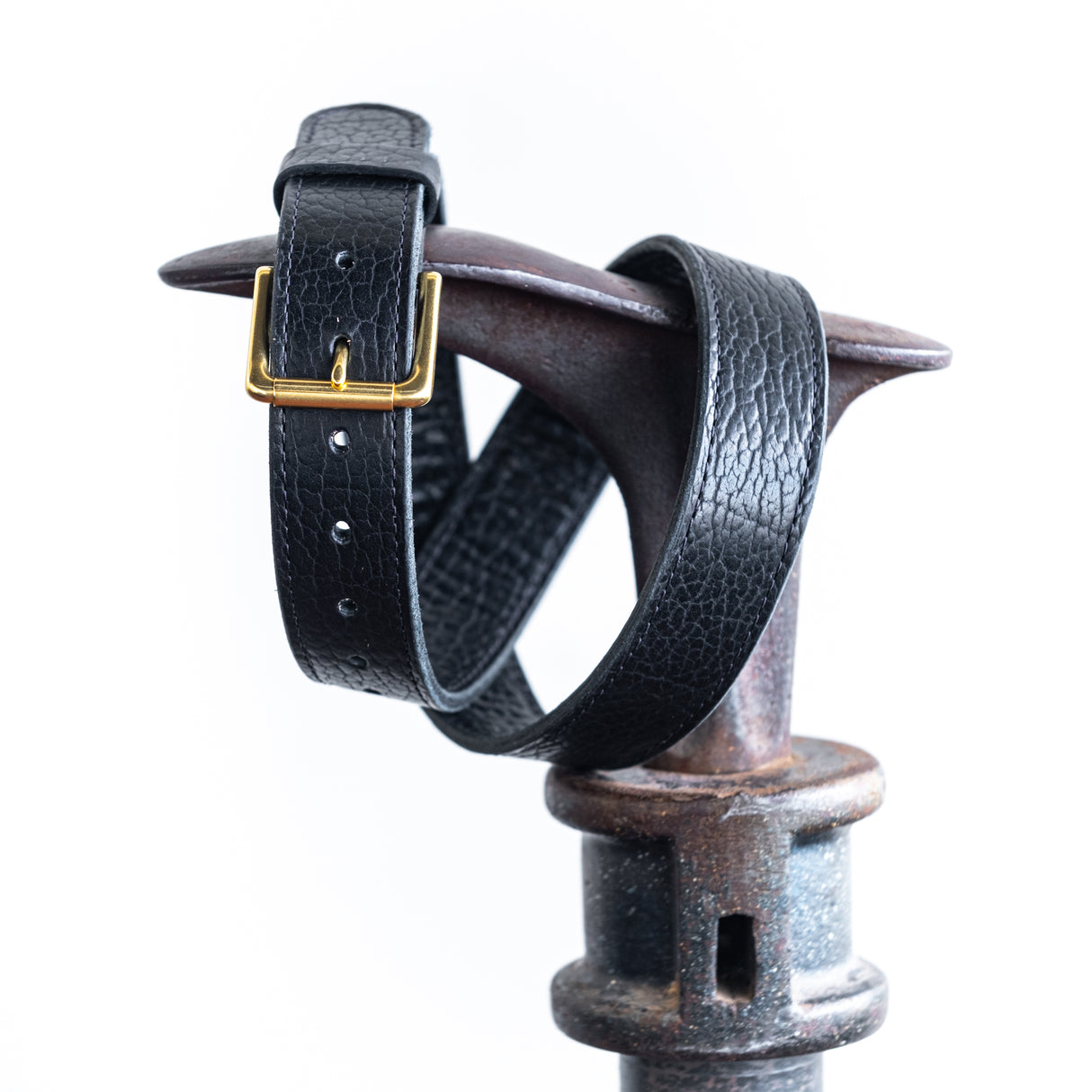 American Bison Heritage Belt