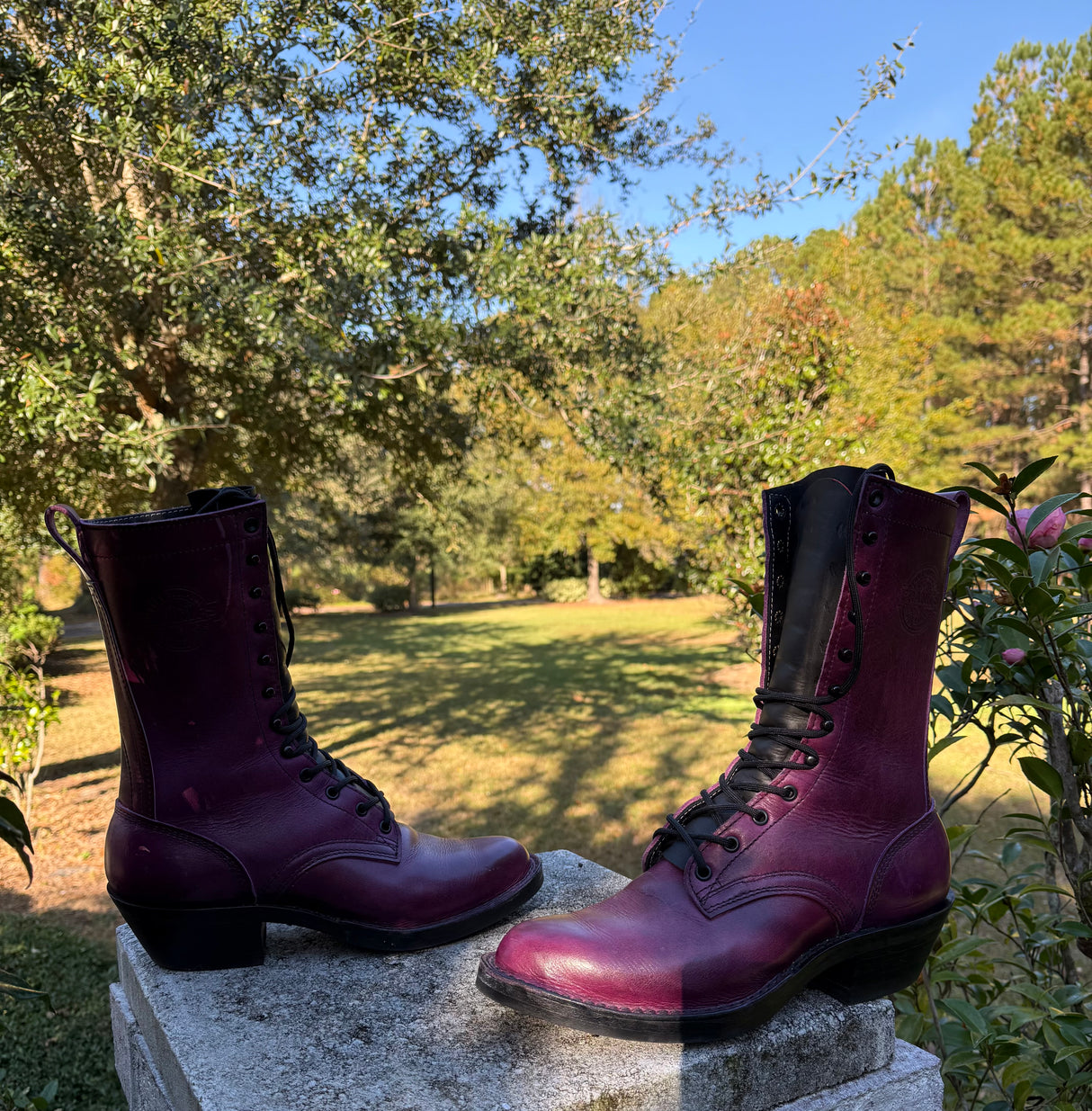 MARKETPLACE - FRANKS Packer \ 9D