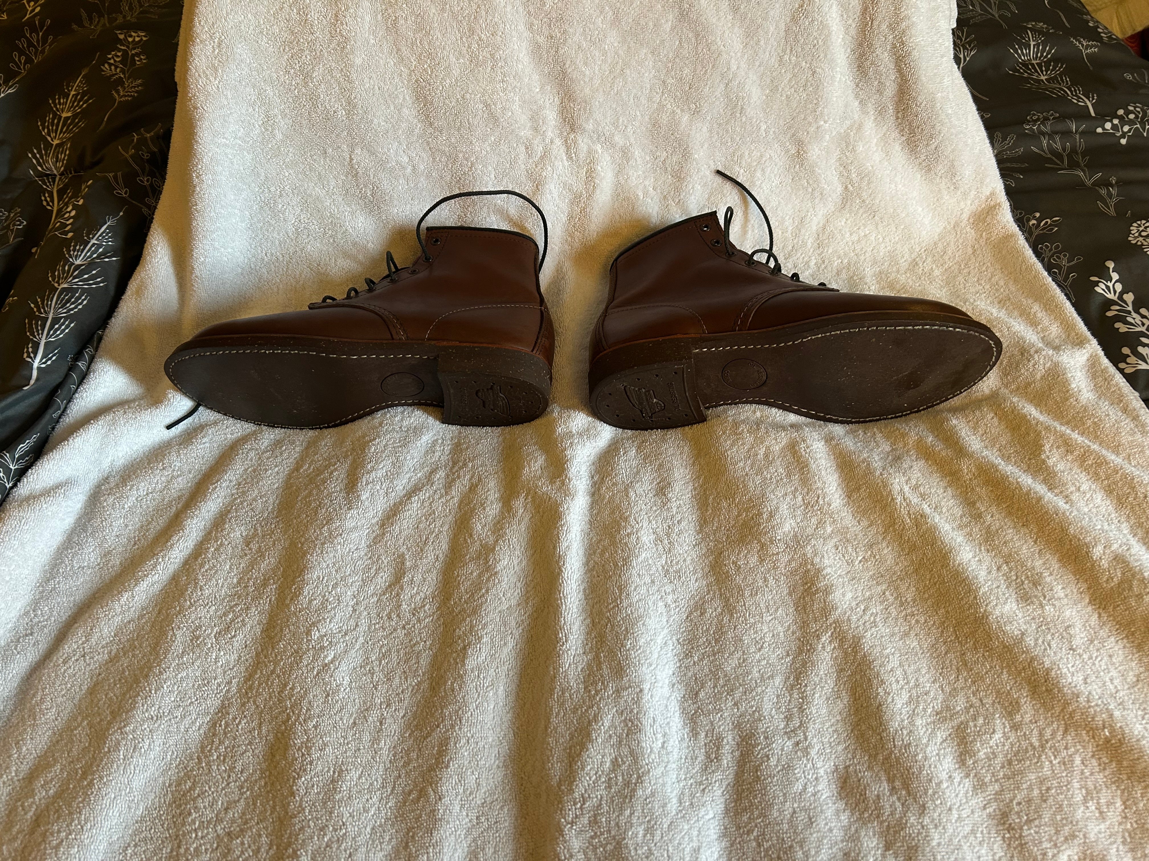 IMG_4361-RobertMinton.jpg?v=