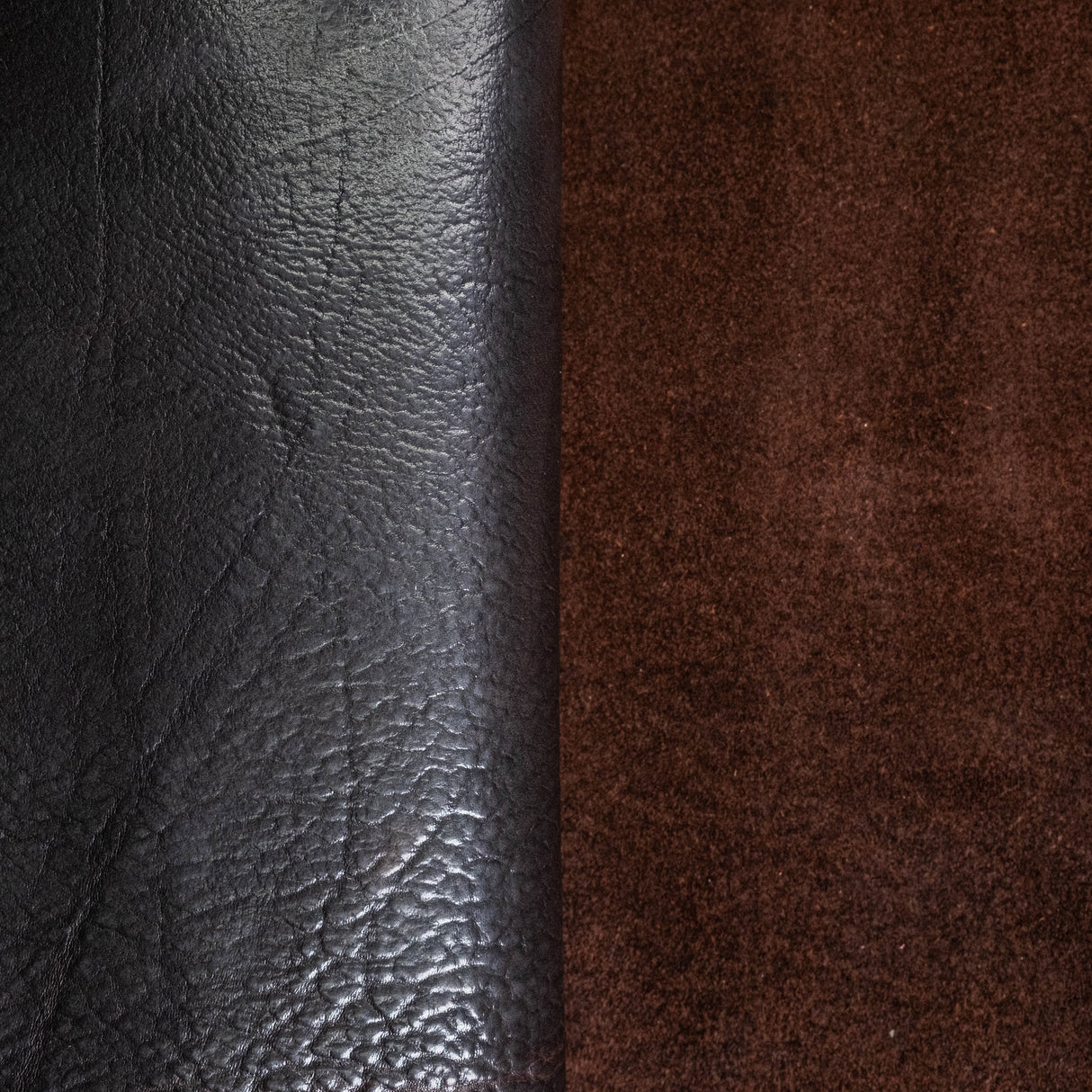 February Sample Sale