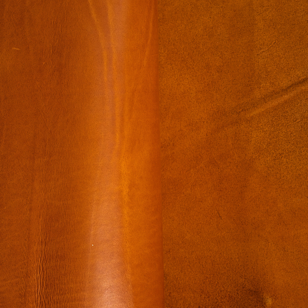 February Sample Sale