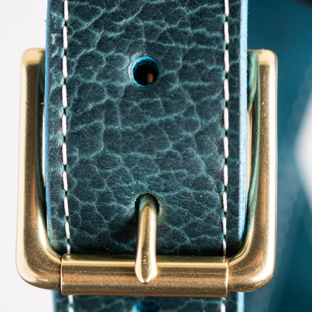 American Bison Heritage Belt