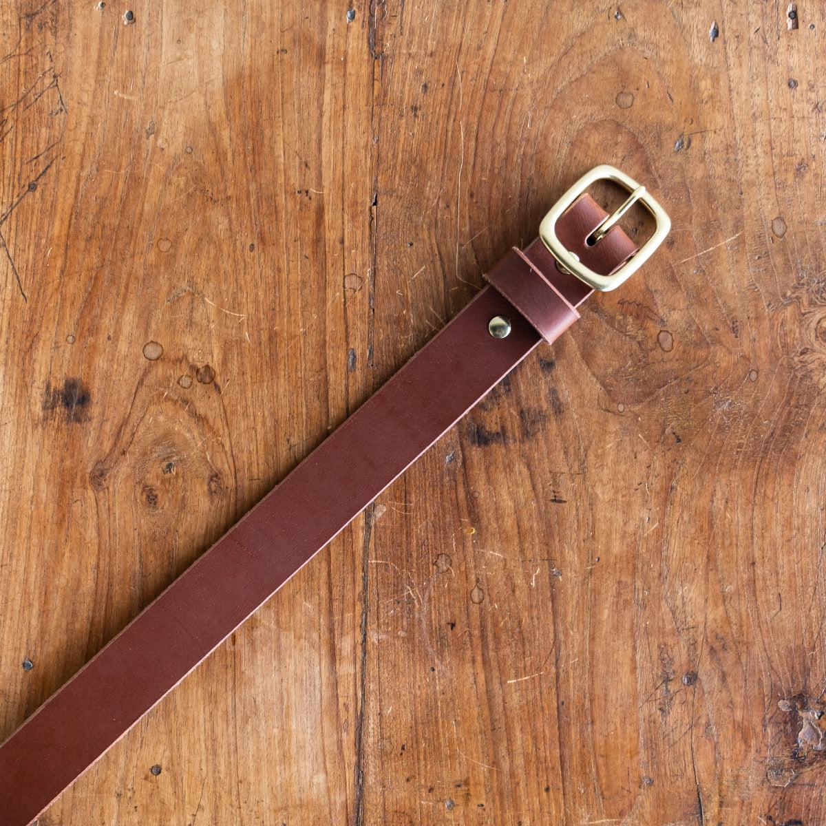 Waxy Buffalo Belt